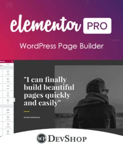 Elementor Pro WordPress Plugins