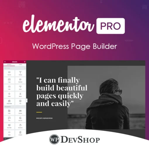 Elementor Pro WordPress Plugins