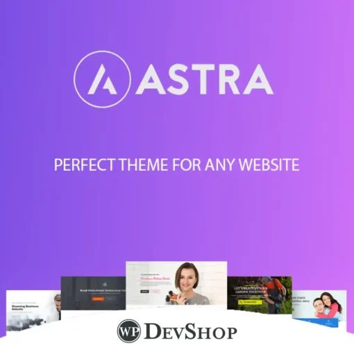 Astra Theme WordPress