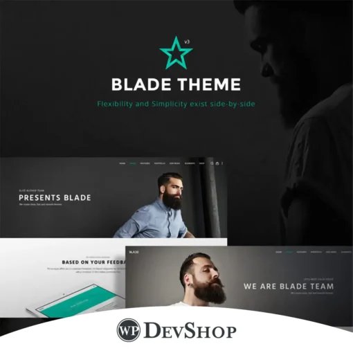 Blade – Responsive Multi-Functional Theme