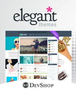 Elegant Themes Extra WordPress Theme