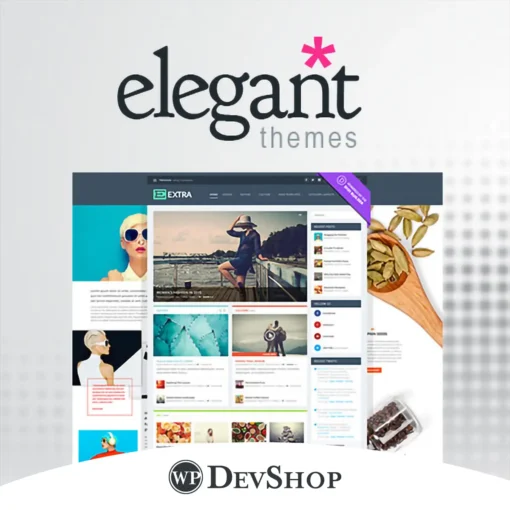 Elegant Themes The Divi Builder