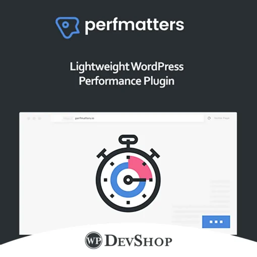 Perfmatters WordPress Plugin