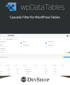 Powerful Filters for wpDataTables